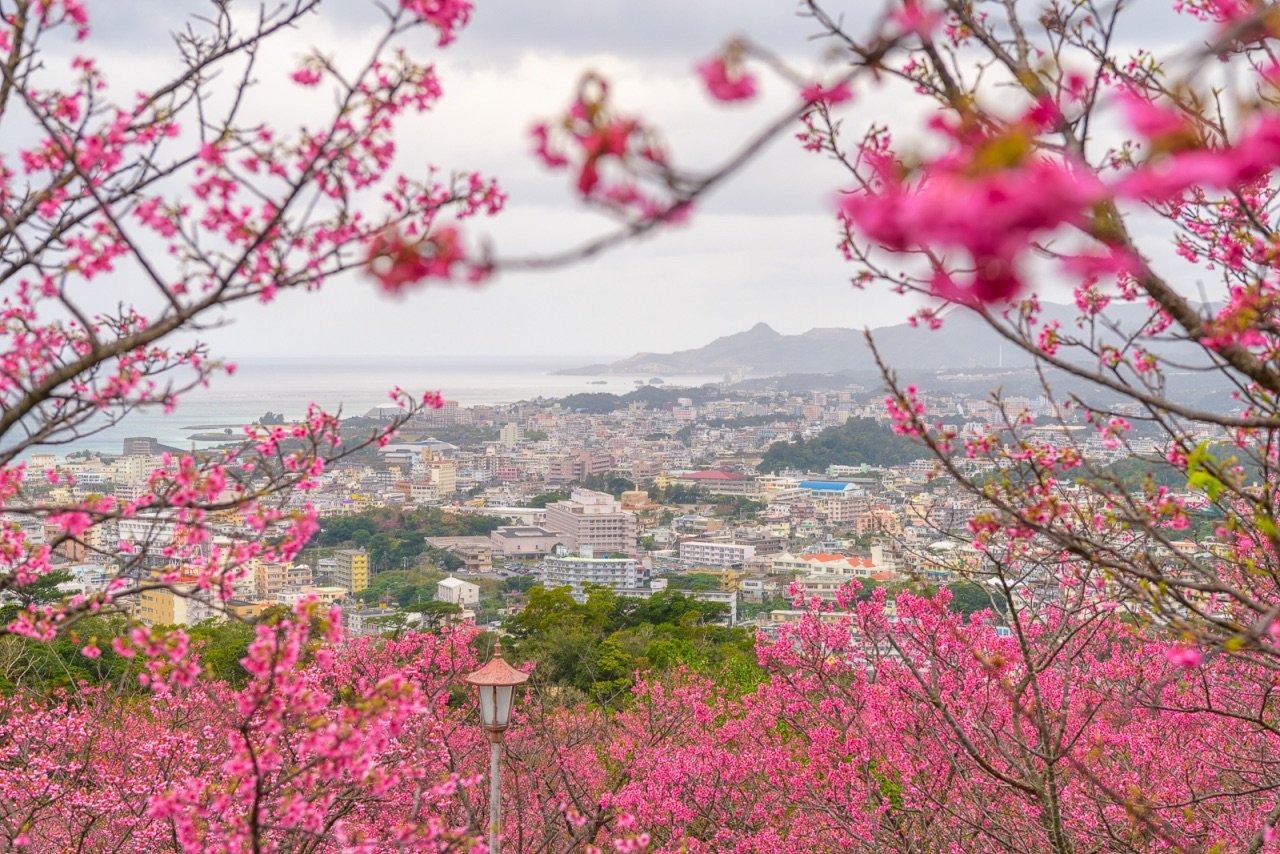 🌳 마키시 공원 (마키시코엔) 이미지 7